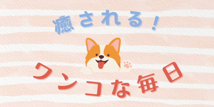癒される！ワンコな毎日